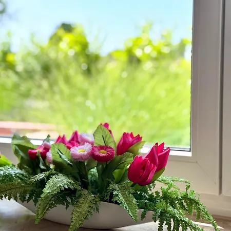 Apartamento Charmanter Rueckzugsort Mit Grosser Terrasse In Idyllischer Umgebung